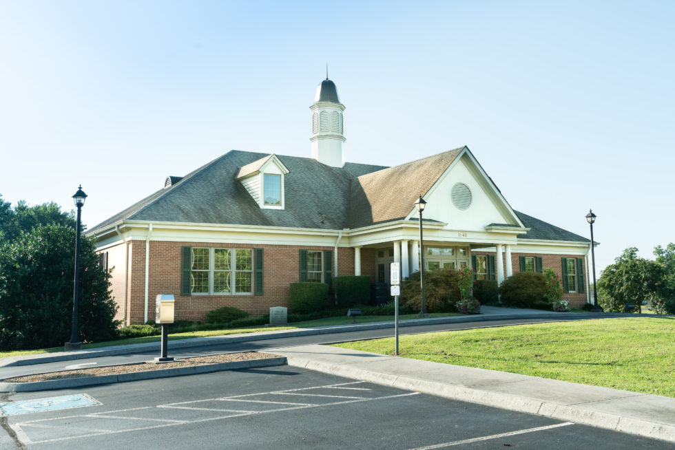 Directory White Pine