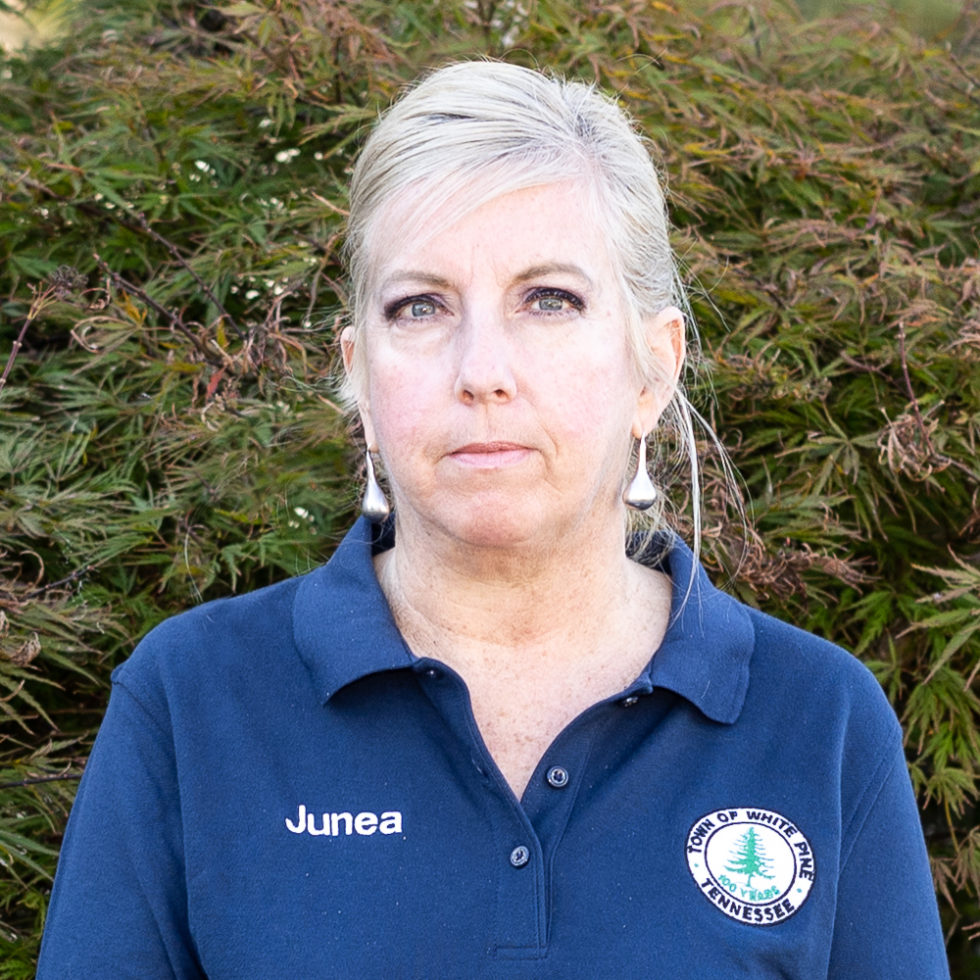 Directory White Pine