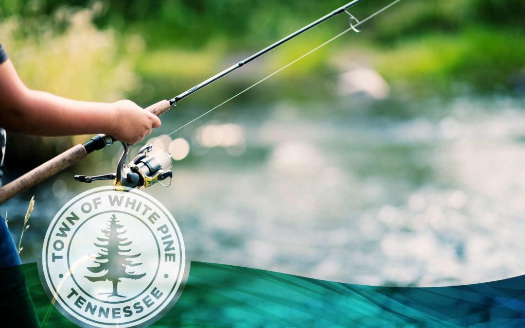 Fishing Guide To Douglas Lake White Pine Fishing Guide To Douglas Lake White Pine