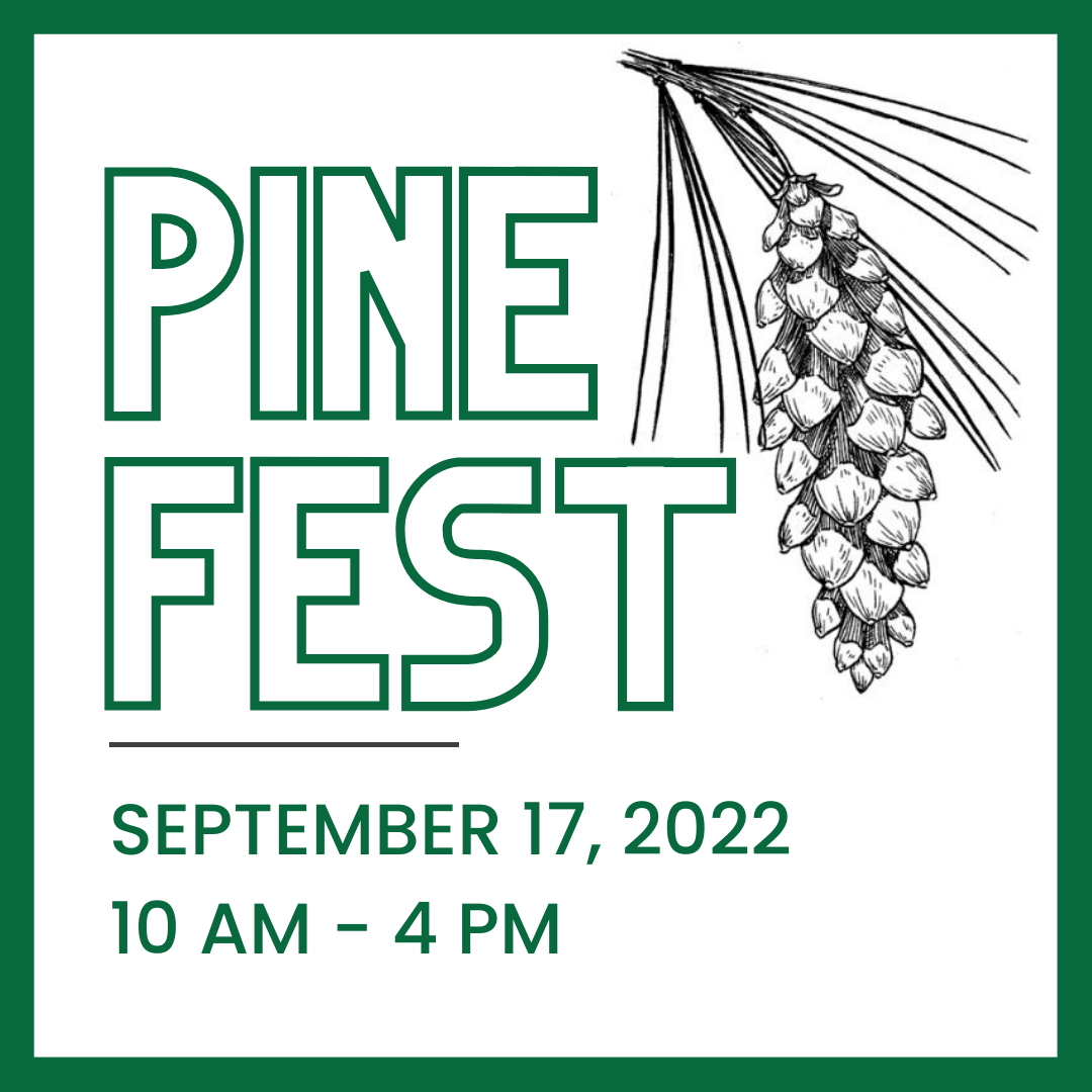 Pine Fest 2022 Graphic