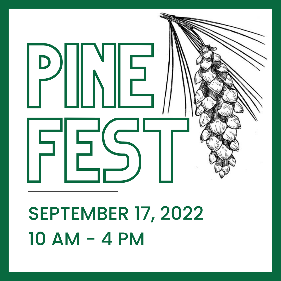 Pine Fest 2022 White Pine