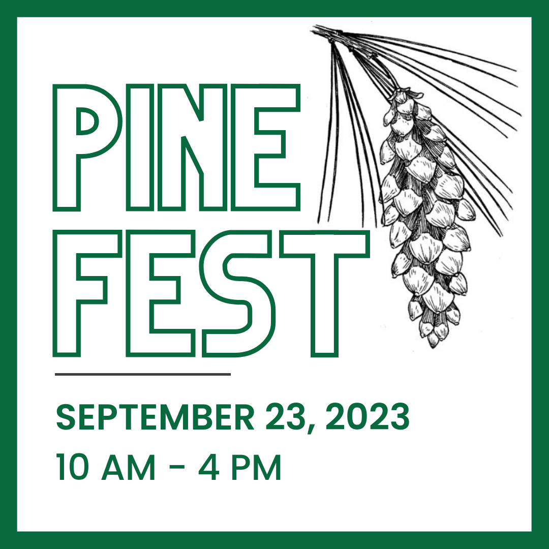 pine fest 2023 graphic