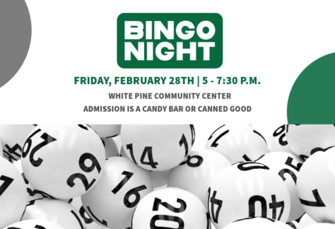 Graphic for town of white pine tn's bingo night