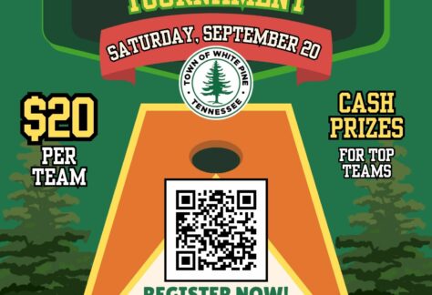 Infographic for Pine Fest 2025 Cornhole Tournament