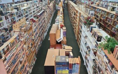 White Pine Business Spotlight: White Pine Books
